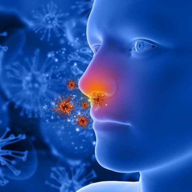 alergija alergija alergeni simptomi lecenje prevencija